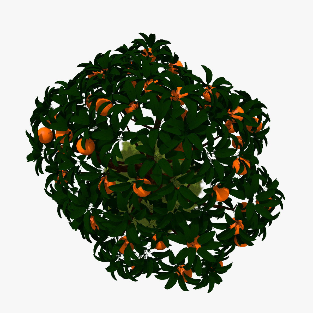 Cartoon Tree Pack Low-poly 3D model_24