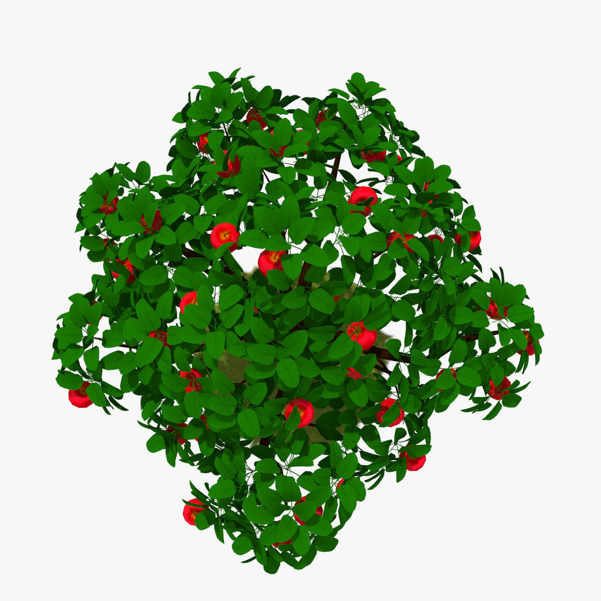 Cartoon Tree Pack Low-poly 3D model_4