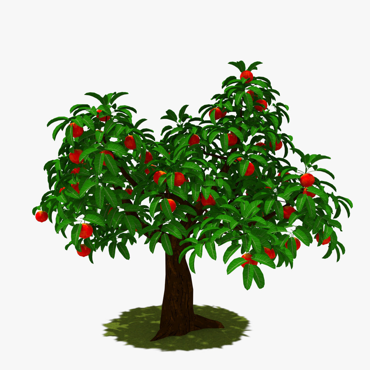 Cartoon Tree Pack Low-poly 3D model_33