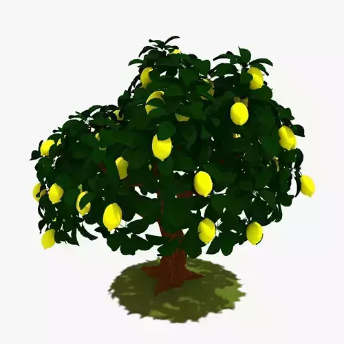 Cartoon Lemon Tree