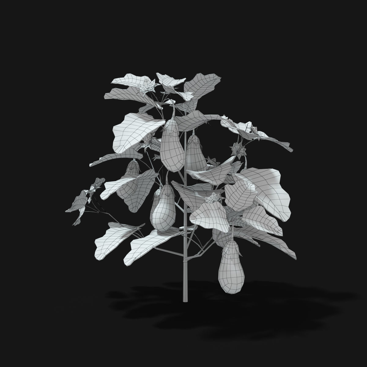 Cartoon Eggplant Plant Low-poly 3D model_11