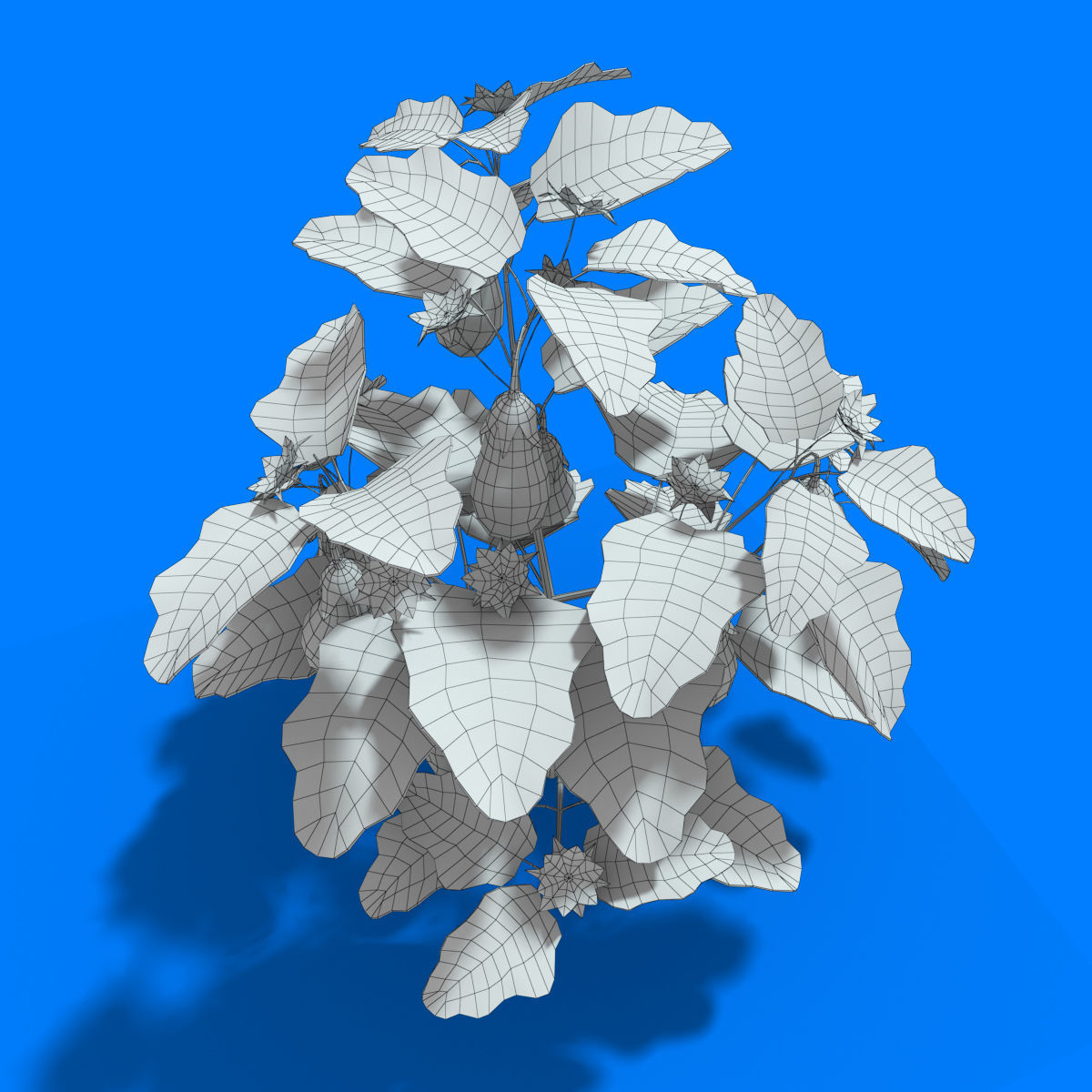 Cartoon Eggplant Plant Low-poly 3D model_9