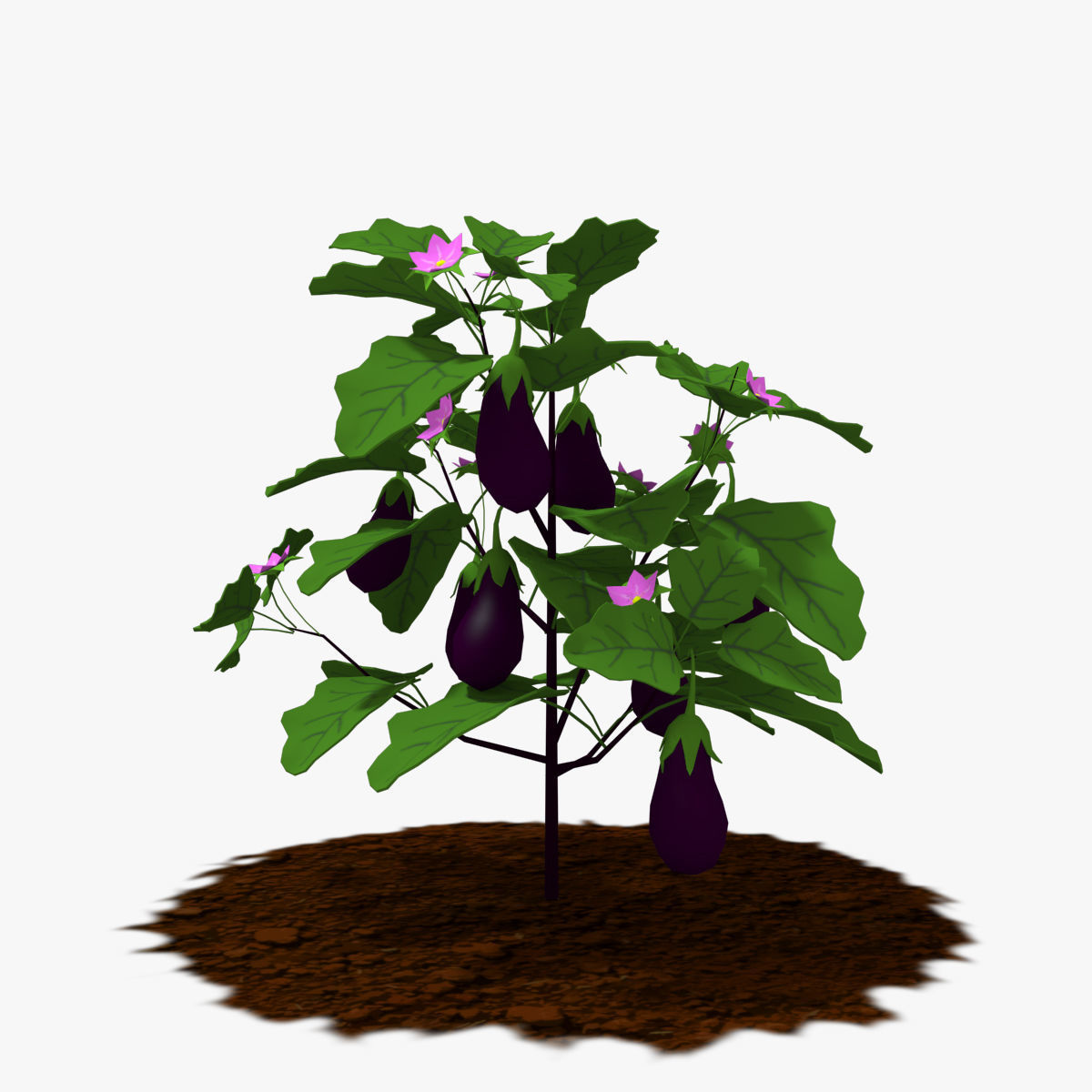 Cartoon Eggplant Plant Low-poly 3D model_1