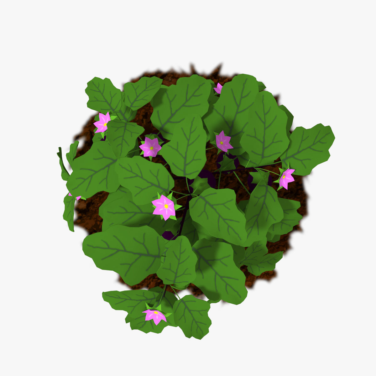 Cartoon Eggplant Plant Low-poly 3D model_2
