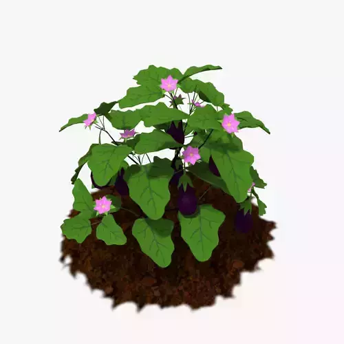 Cartoon Eggplant Plant Low-poly 3D model