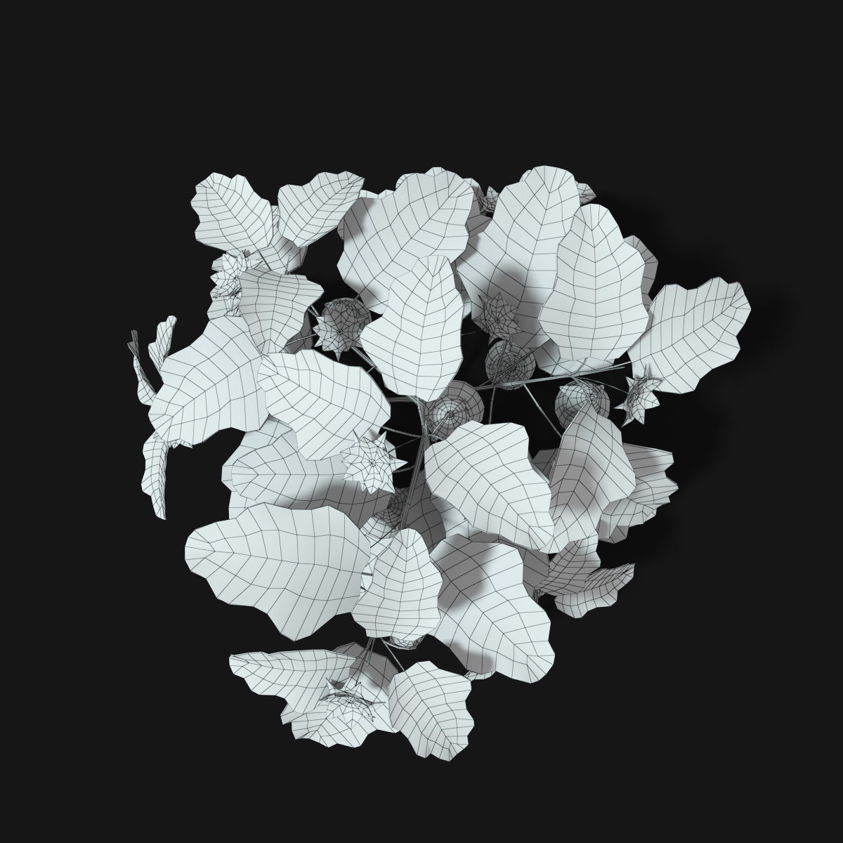 Cartoon Eggplant Plant Low-poly 3D model_12