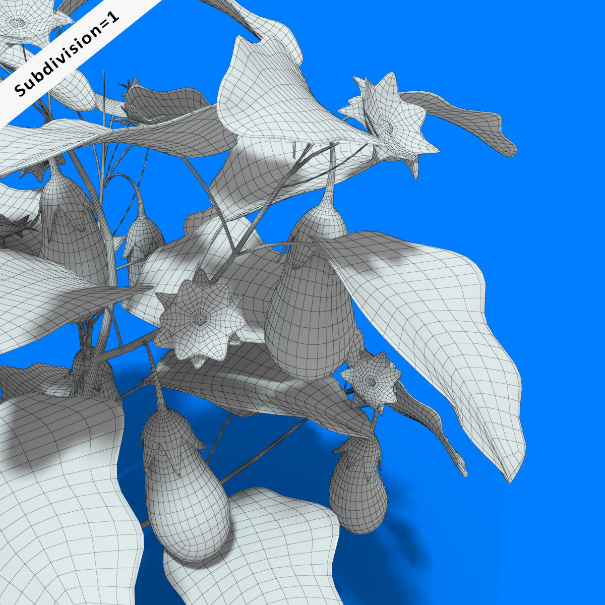 Cartoon Eggplant Plant Low-poly 3D model_7