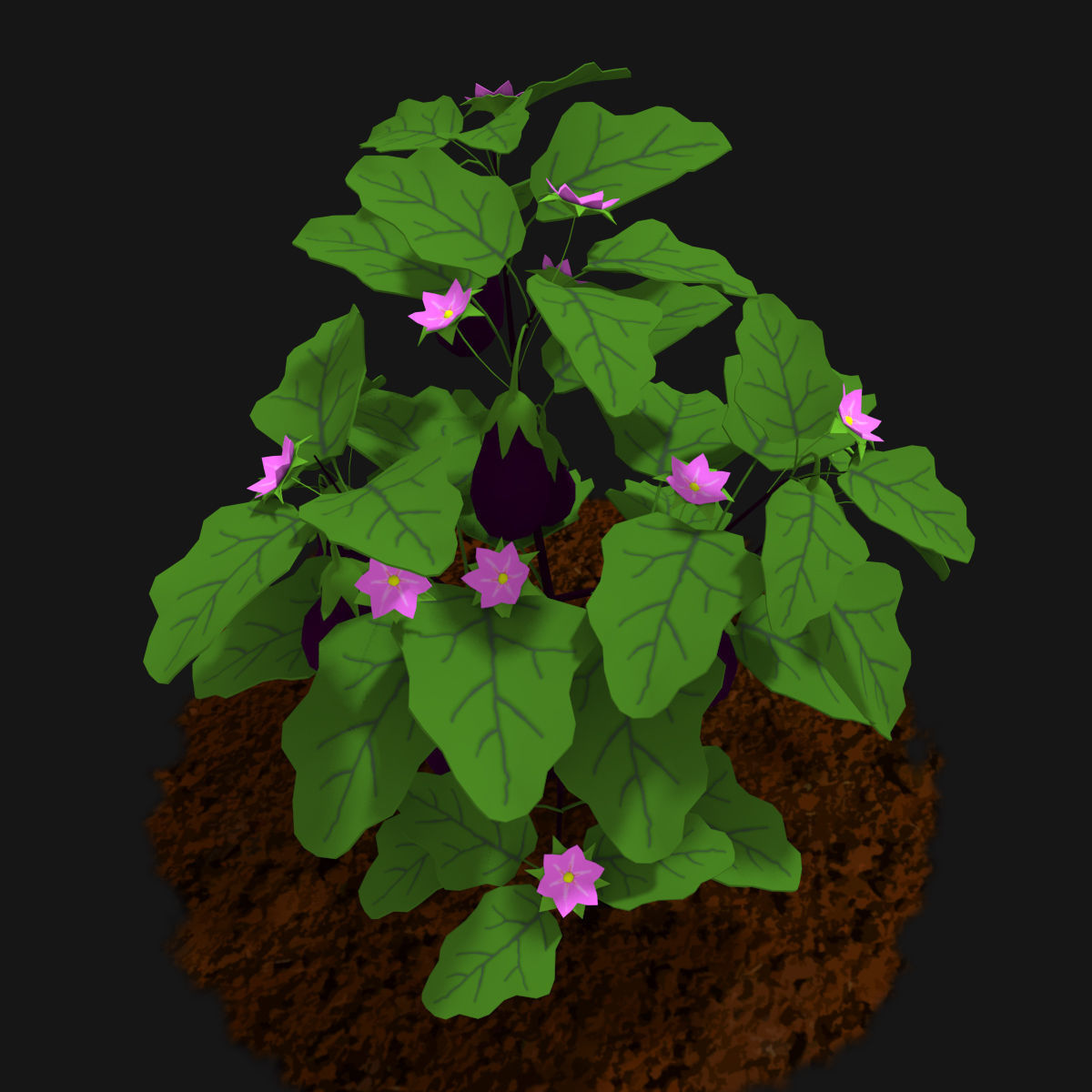 Cartoon Eggplant Plant Low-poly 3D model_3