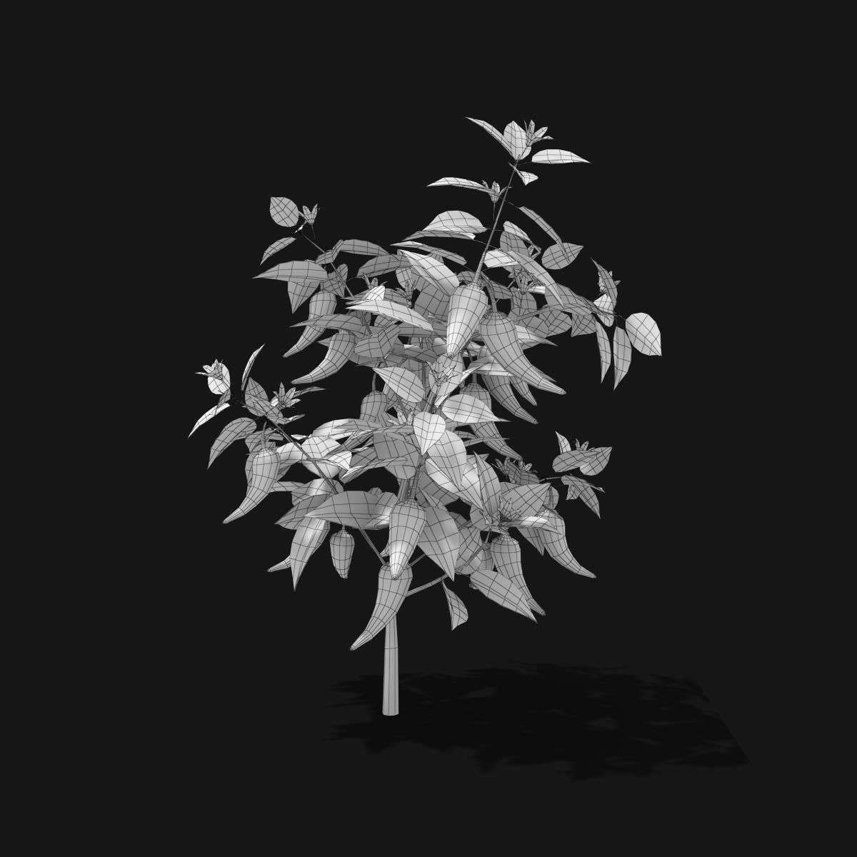 Cartoon Pepper Plant Low-poly 3D model_8