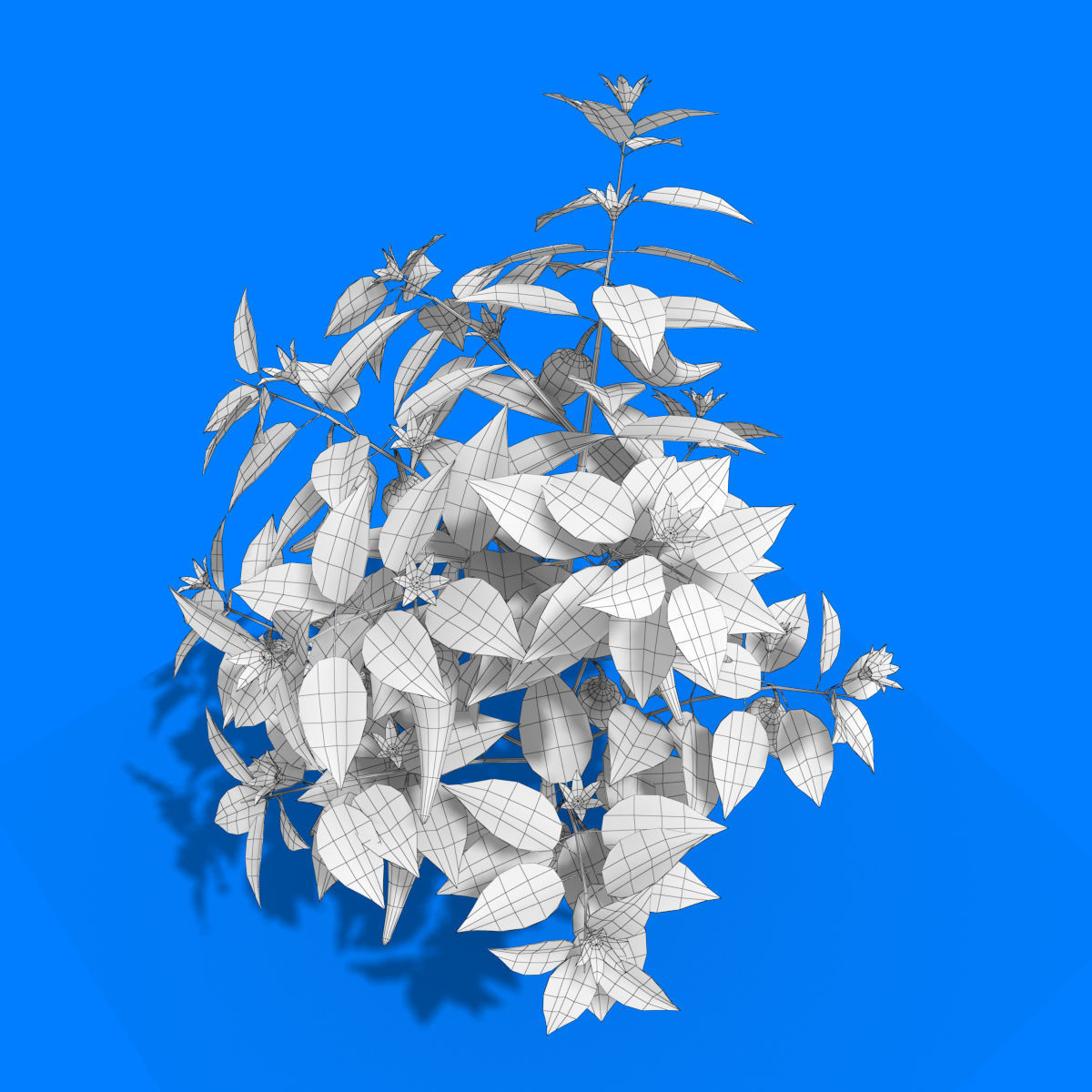 Cartoon Pepper Plant Low-poly 3D model_9