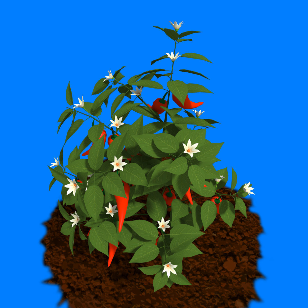 Cartoon Pepper Plant Low-poly 3D model_3