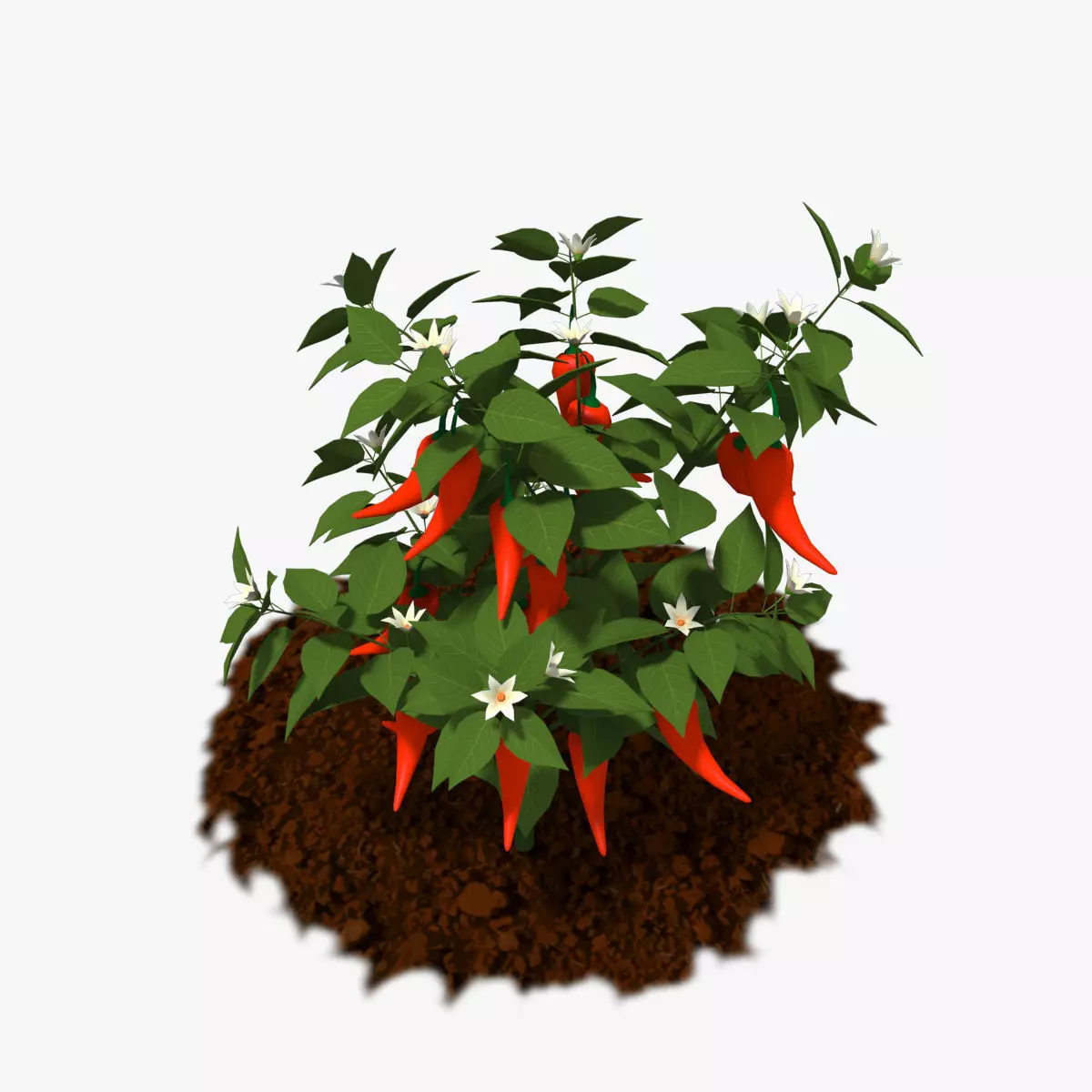 Cartoon Pepper Plant Low-poly 3D model_0
