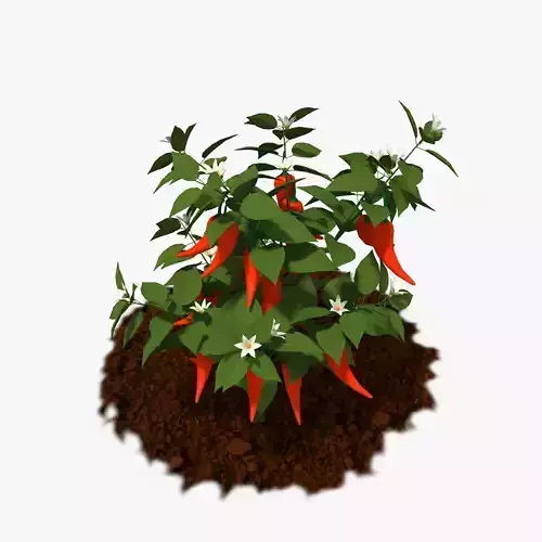 Cartoon Pepper Plant Low-poly 3D model