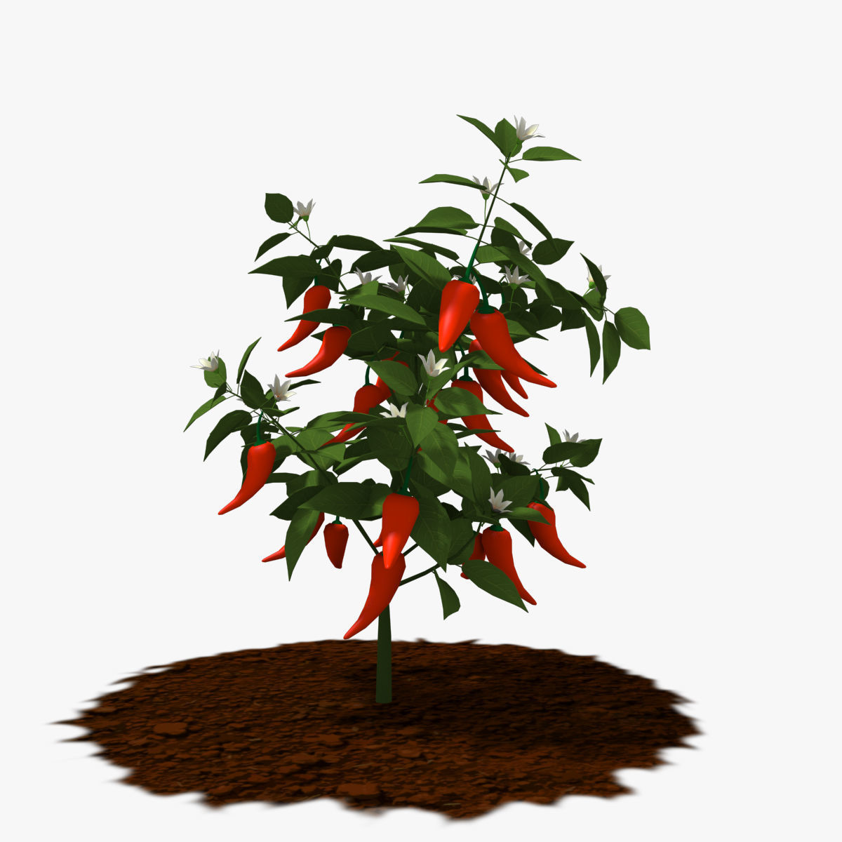 Cartoon Pepper Plant Low-poly 3D model_1