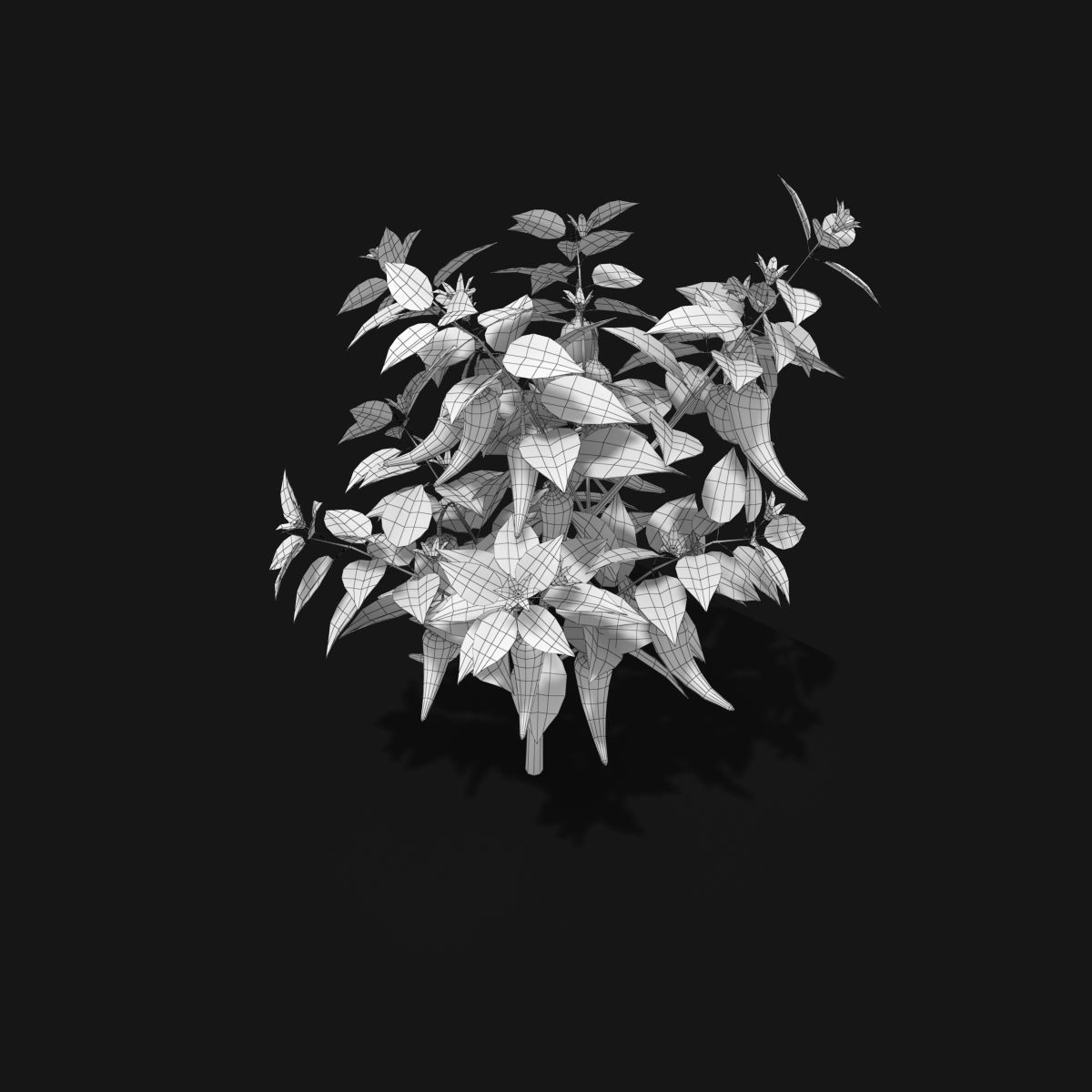 Cartoon Pepper Plant Low-poly 3D model_6