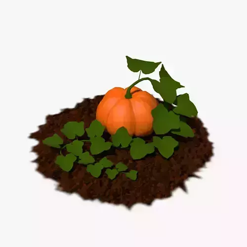 Cartoon Pumpkin Plnat Low-poly 3D model