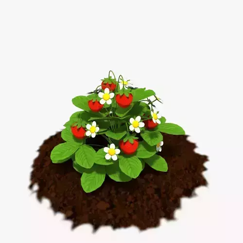 Cartoon Strawberry Plant