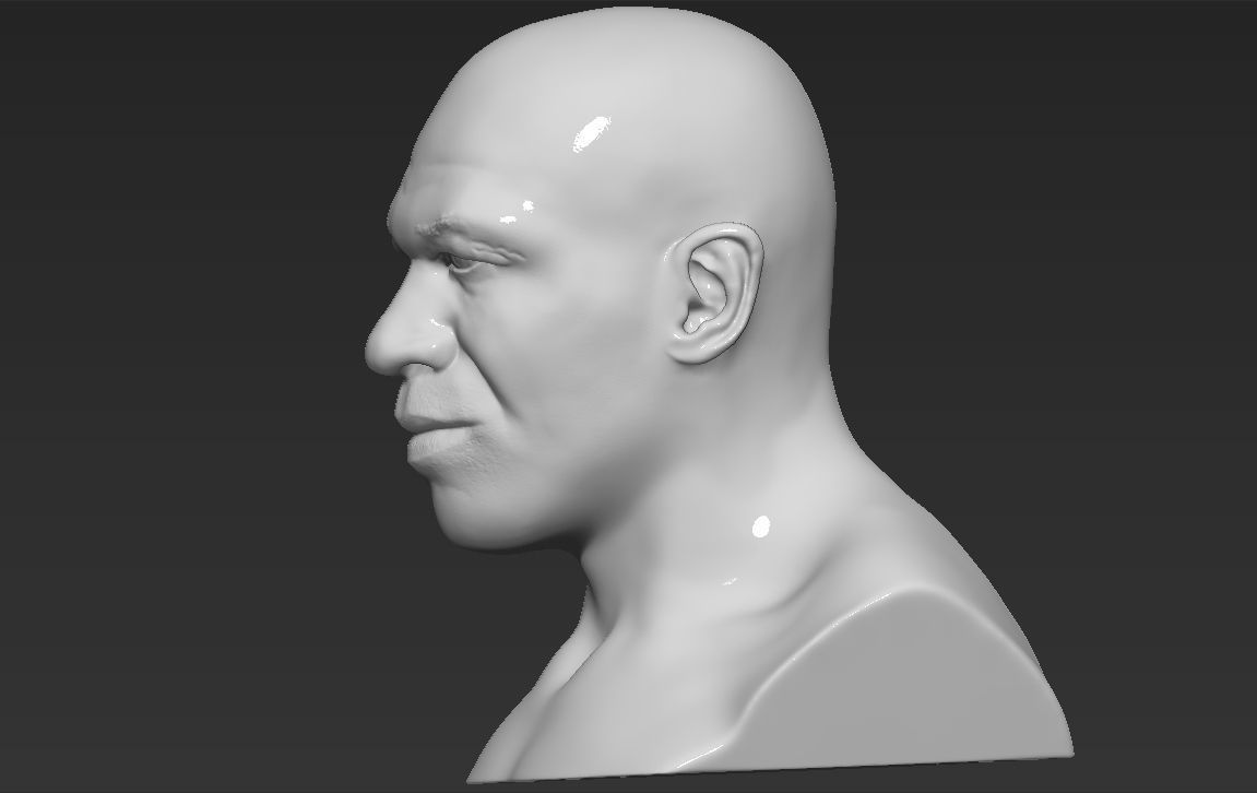 Mike Tyson bust ready for full color 3D printing 3D print model_24
