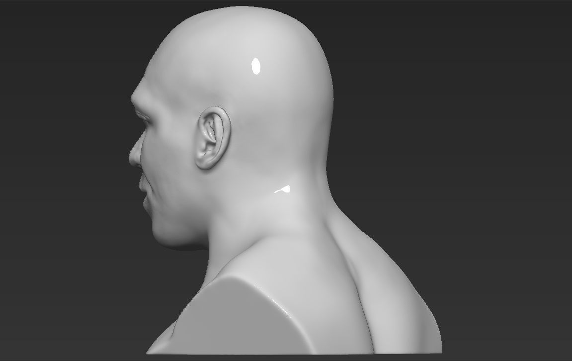 Mike Tyson bust ready for full color 3D printing 3D print model_21