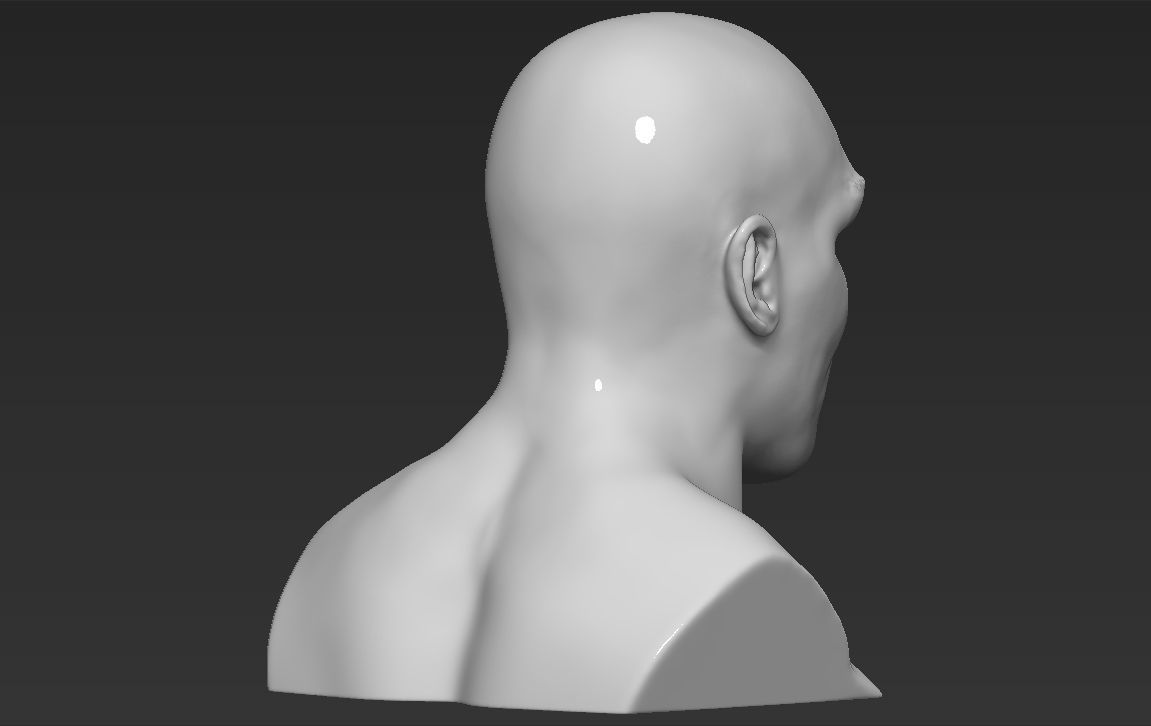 Mike Tyson bust ready for full color 3D printing 3D print model_27