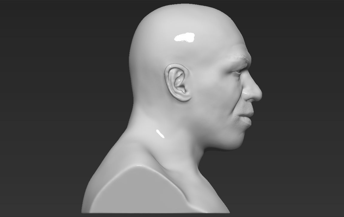Mike Tyson bust ready for full color 3D printing 3D print model_28