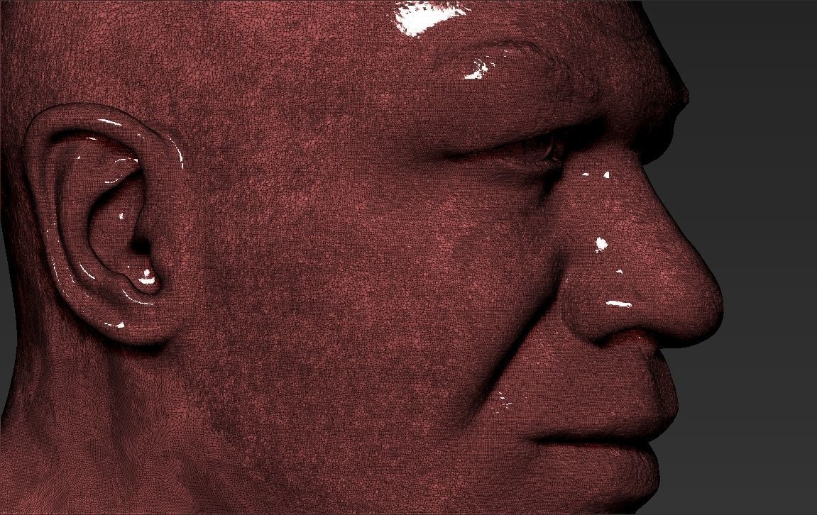 Mike Tyson bust ready for full color 3D printing 3D print model_40