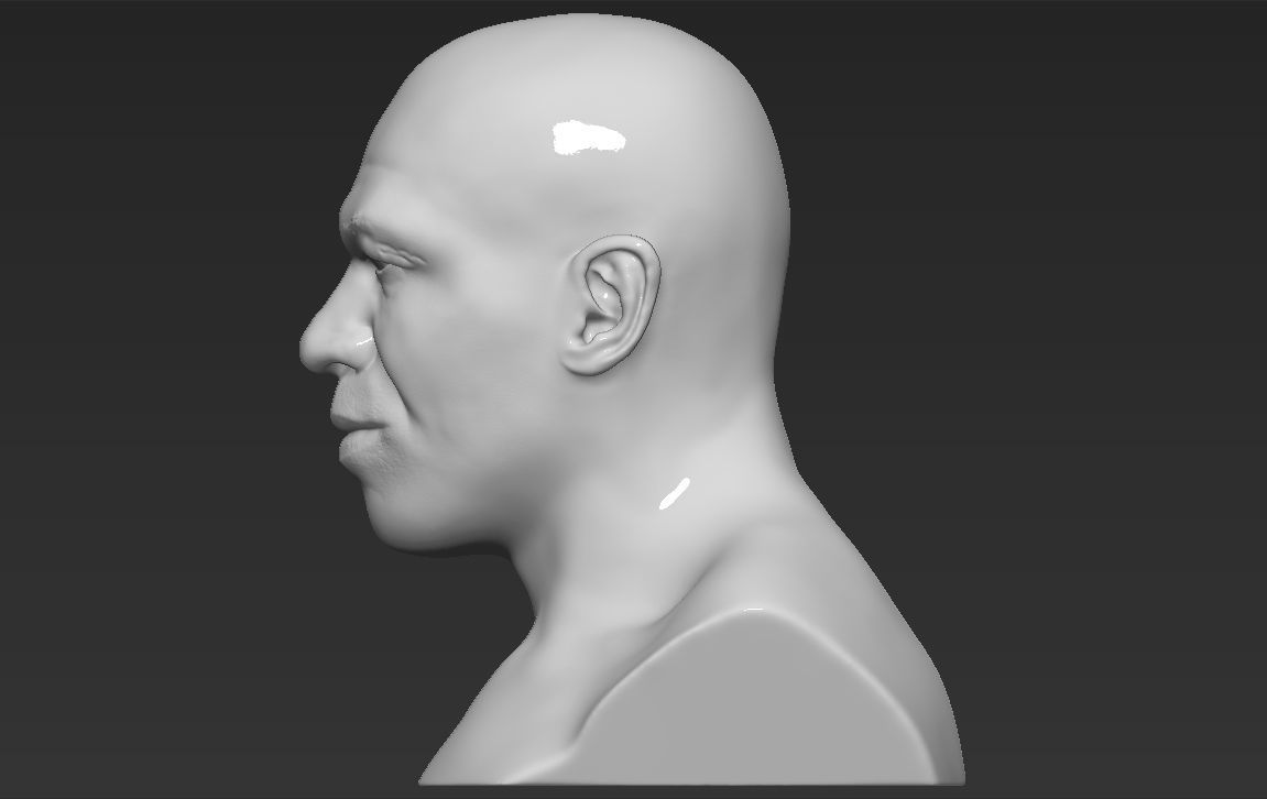 Mike Tyson bust ready for full color 3D printing 3D print model_25