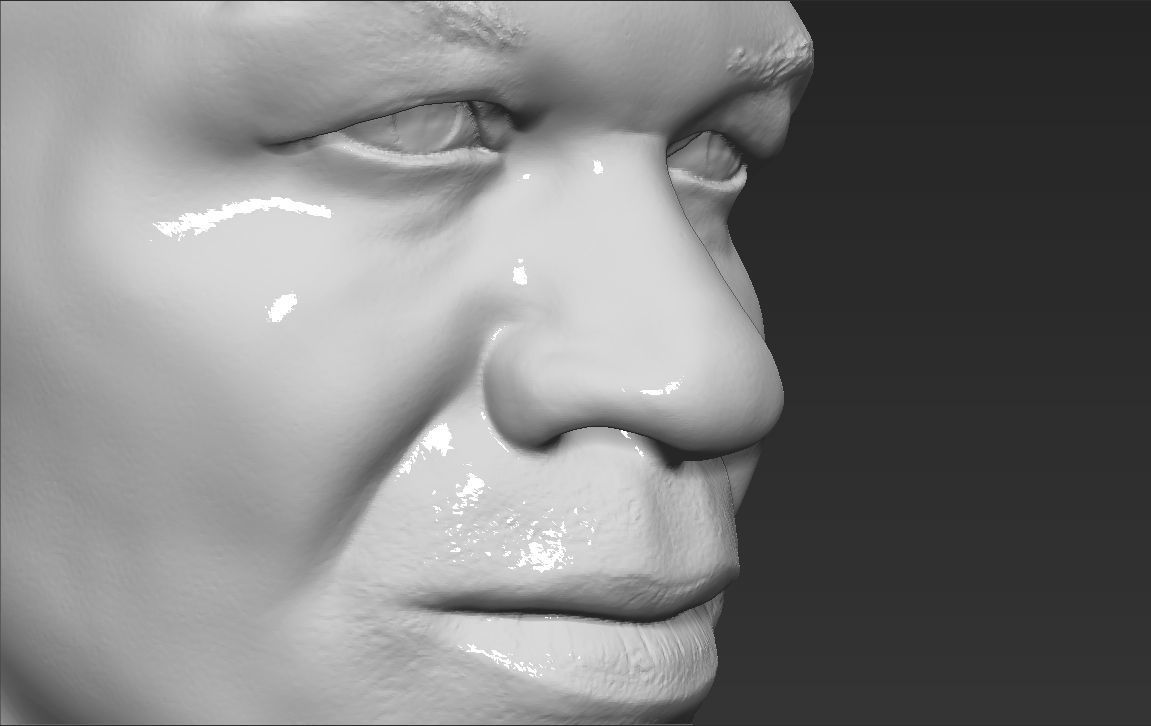 Mike Tyson bust ready for full color 3D printing 3D print model_37