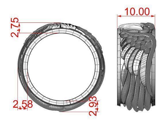 Ring of the Eagle 3D print model_9