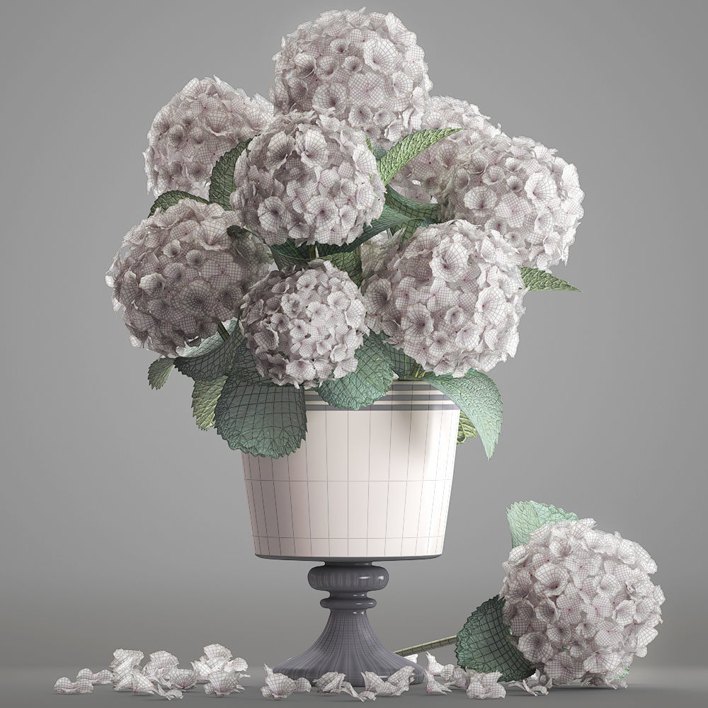 Bouquet of white Hydrangea 3D model_3