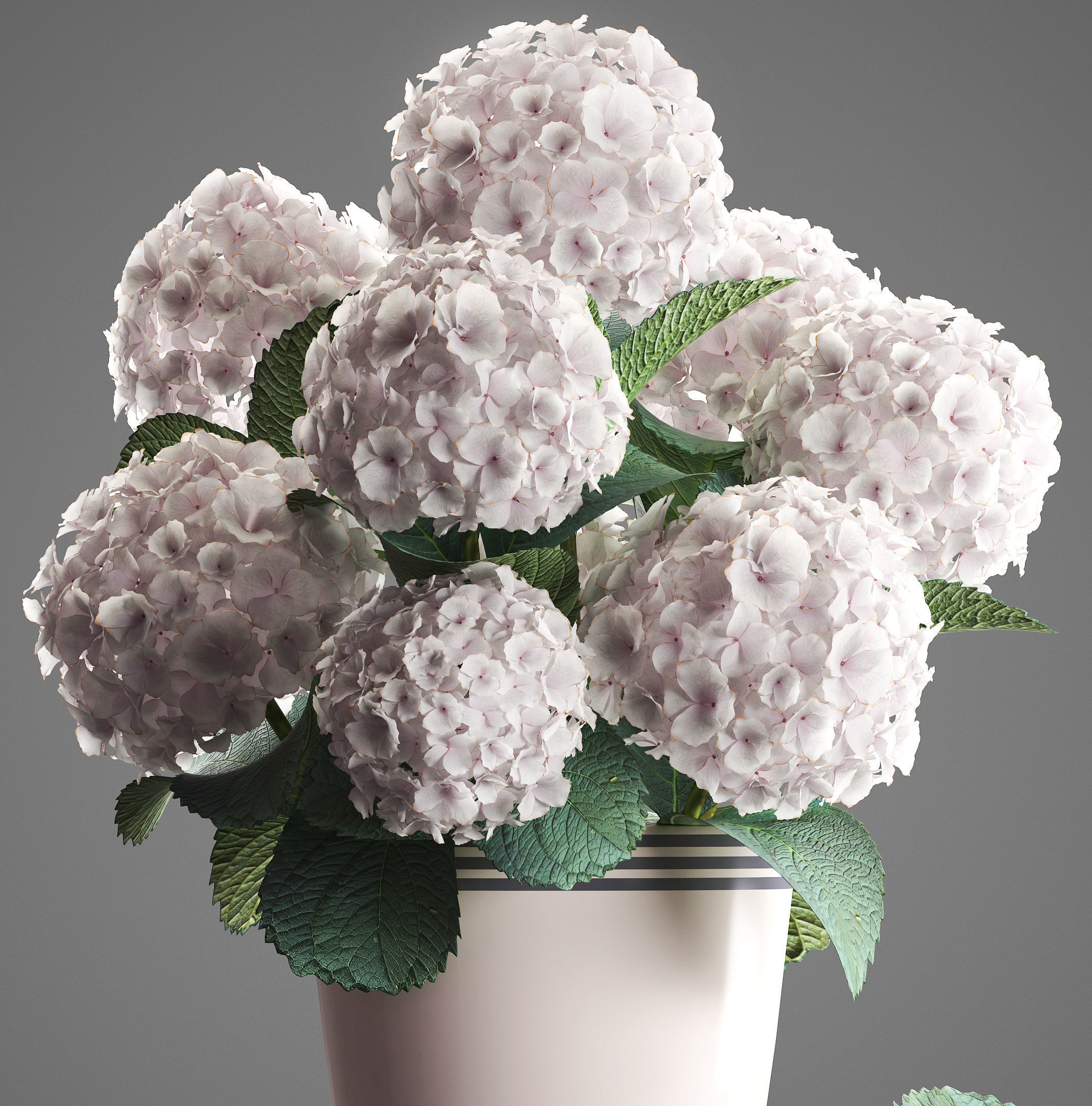 Bouquet of white Hydrangea 3D model_5