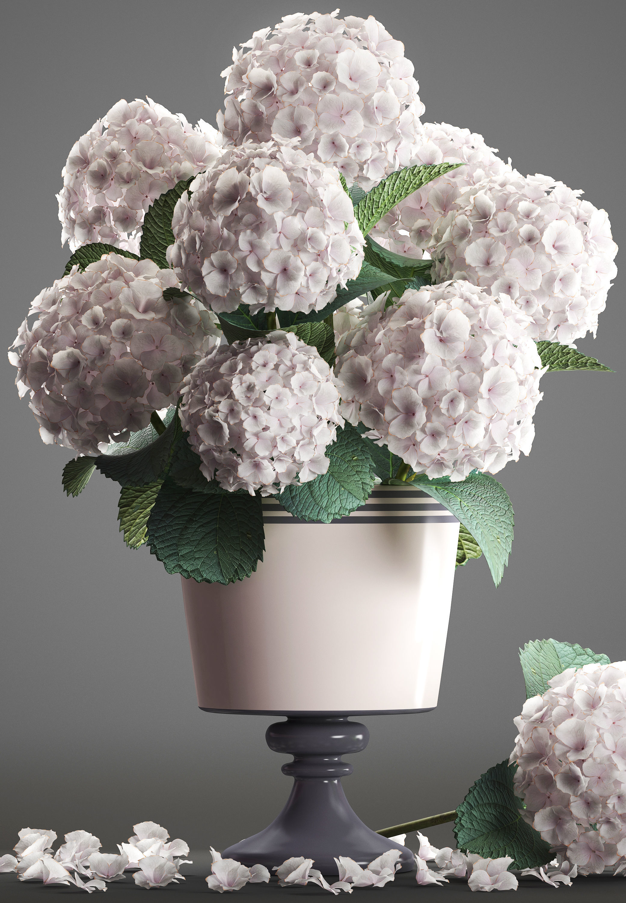 Bouquet of white Hydrangea 3D model_8