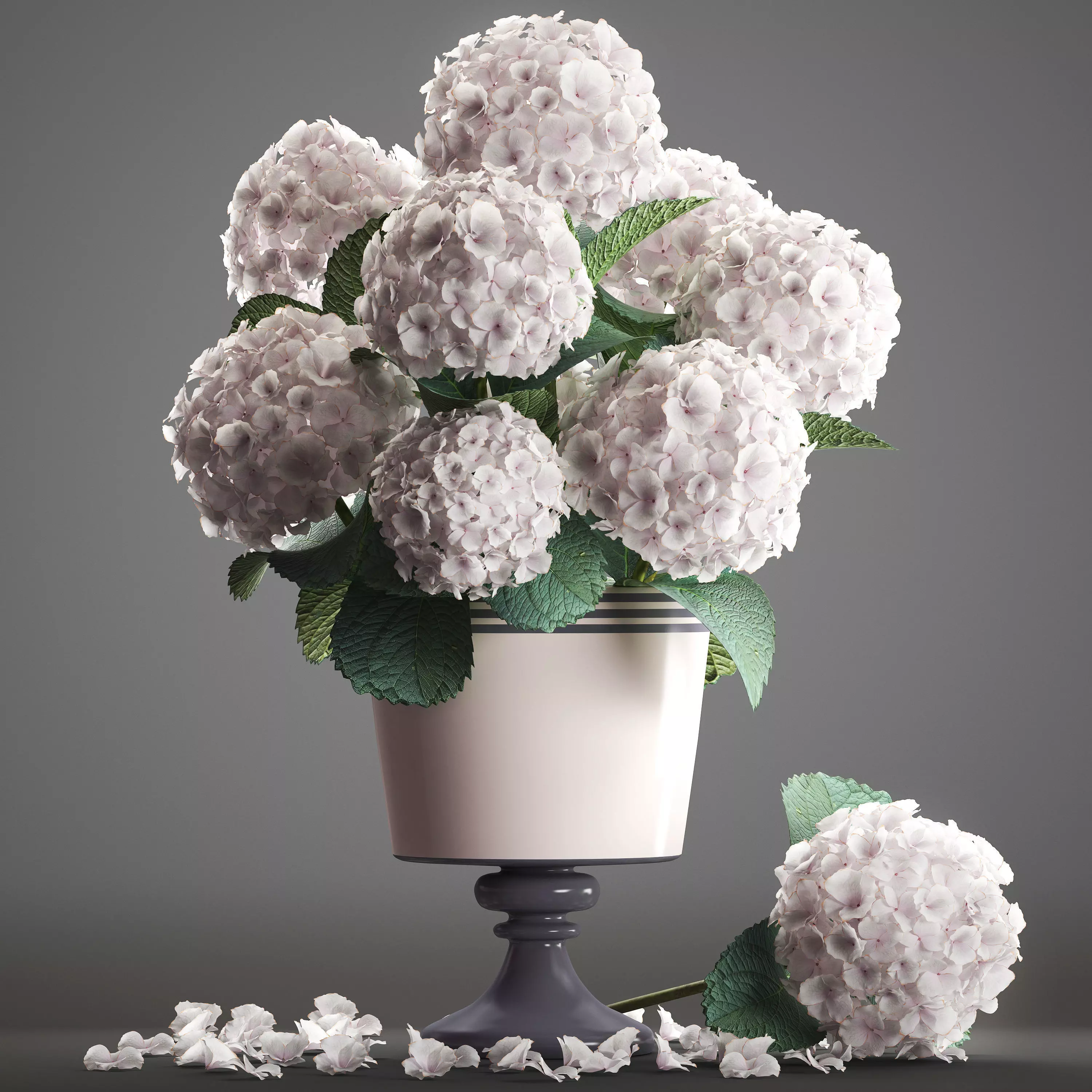 Bouquet of white Hydrangea 3D model_0