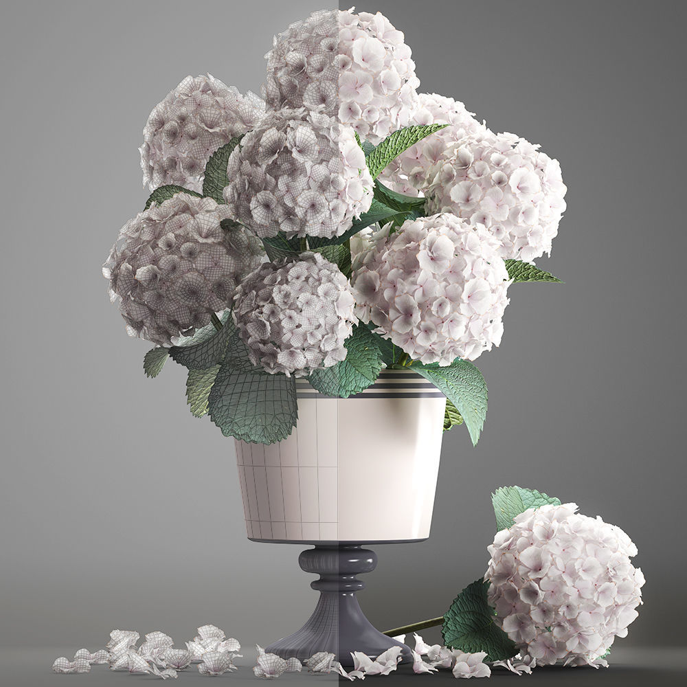 Bouquet of white Hydrangea 3D model_2