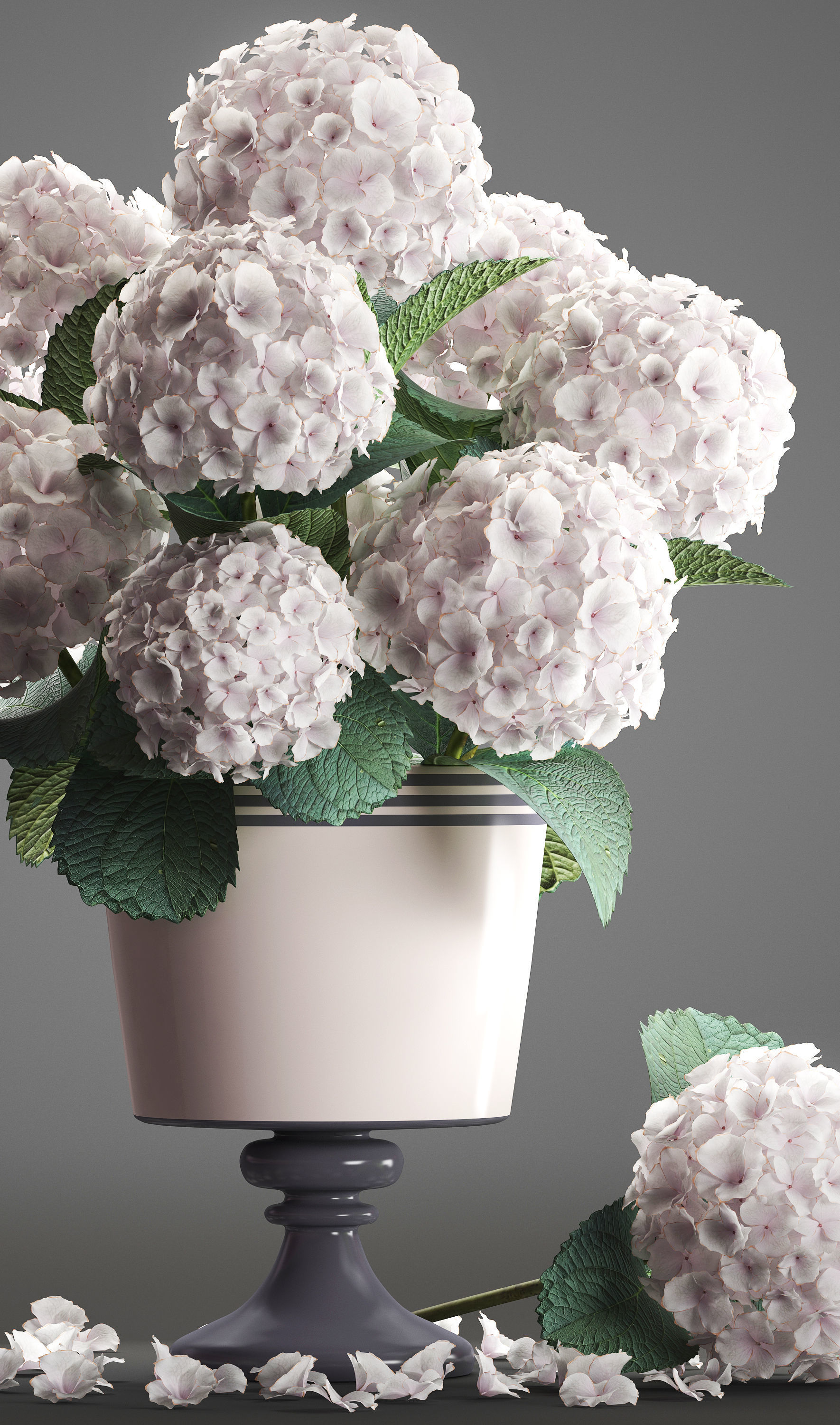 Bouquet of white Hydrangea 3D model_1