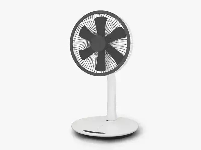 Folding Fan