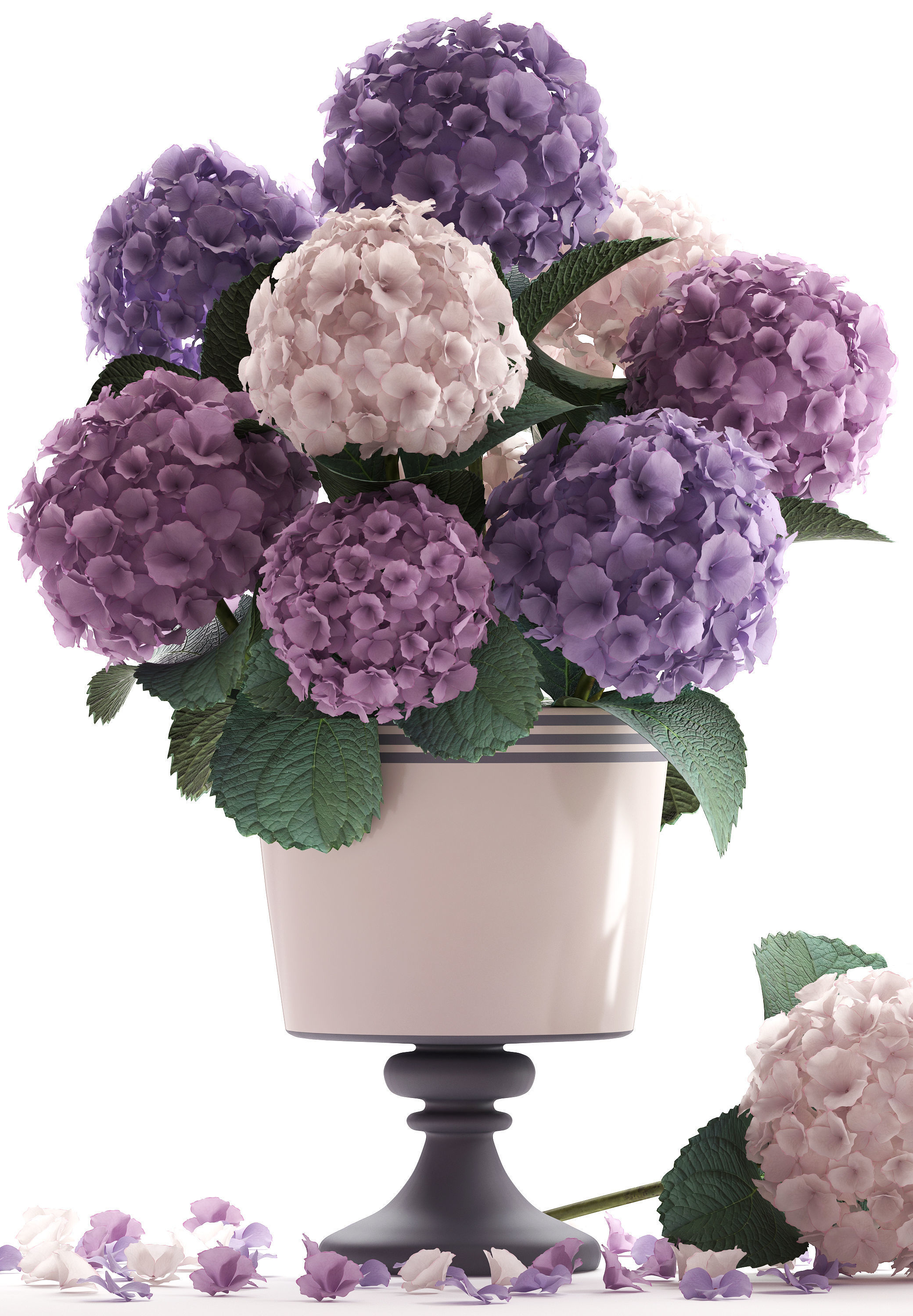 Bouquet of Hydrangea  3D model_4