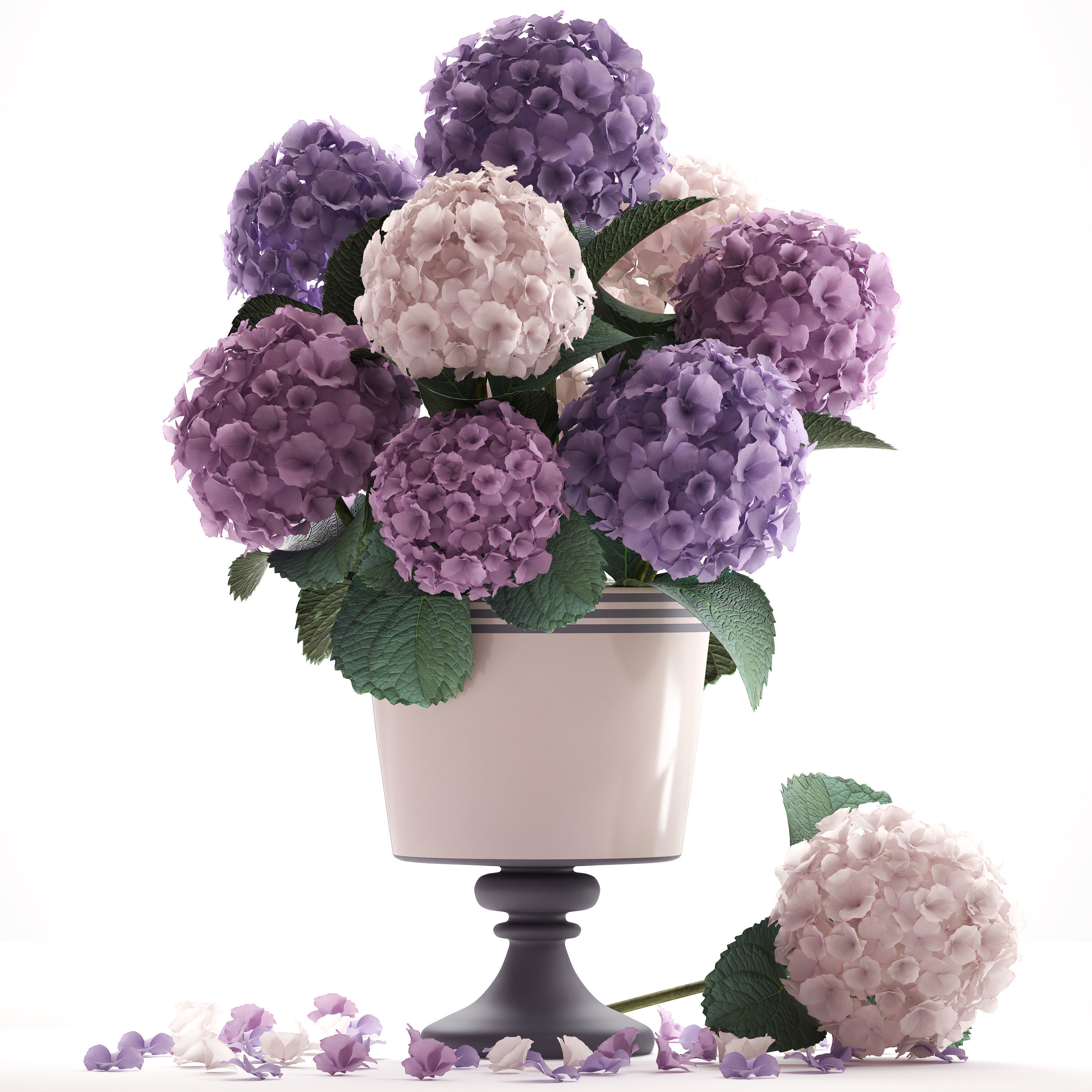 Bouquet of Hydrangea  3D model_9
