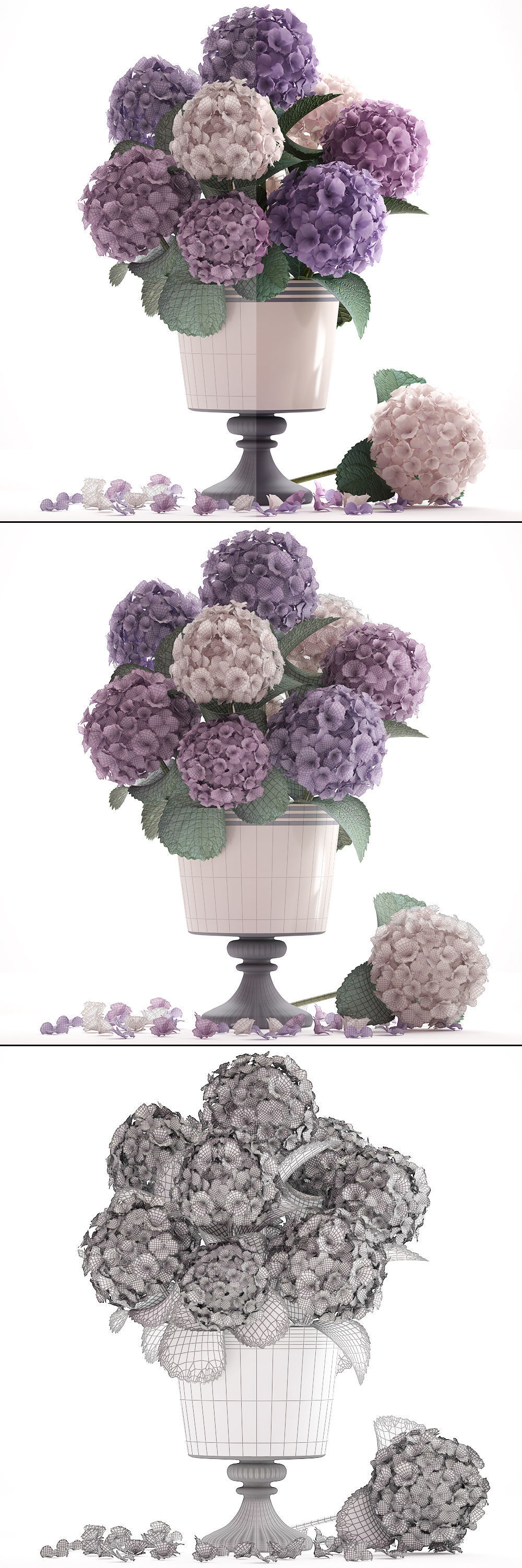 Bouquet of Hydrangea  3D model_2