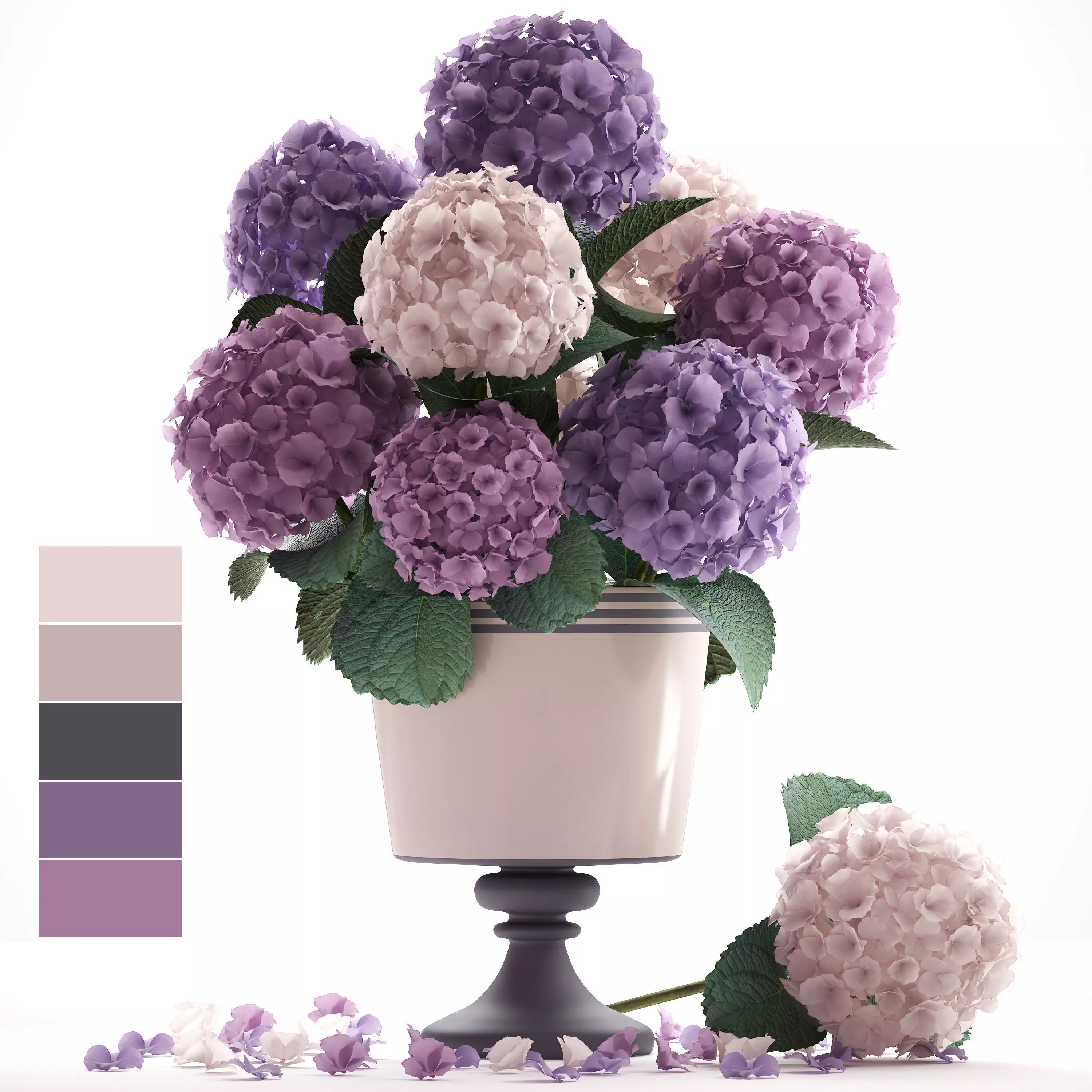Bouquet of Hydrangea  3D model_0