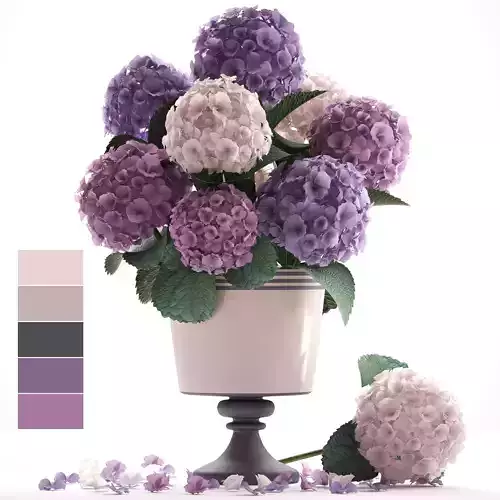 Bouquet of Hydrangea 