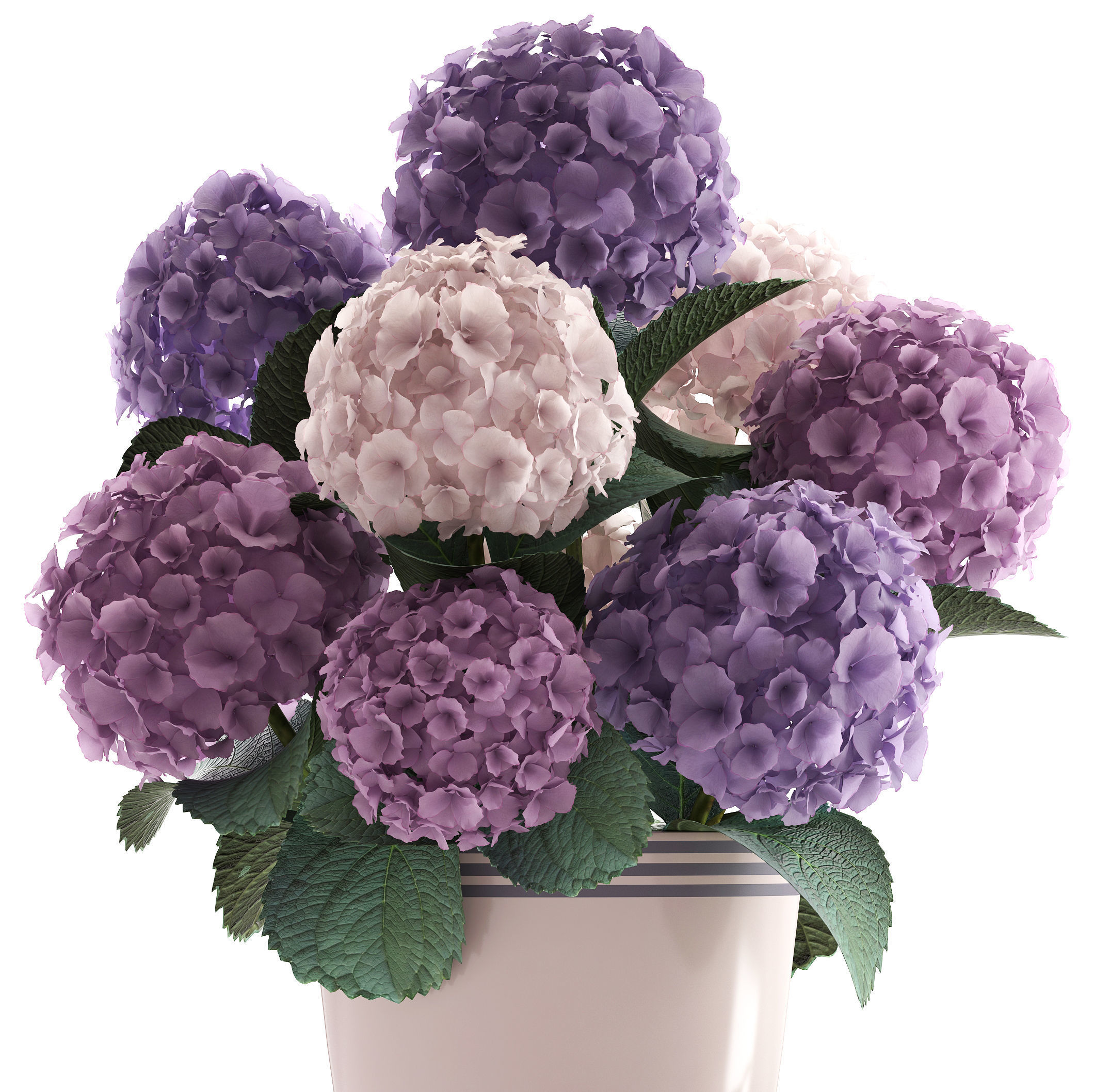 Bouquet of Hydrangea  3D model_3