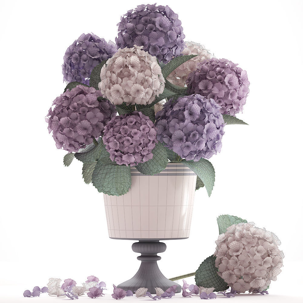 Bouquet of Hydrangea  3D model_7