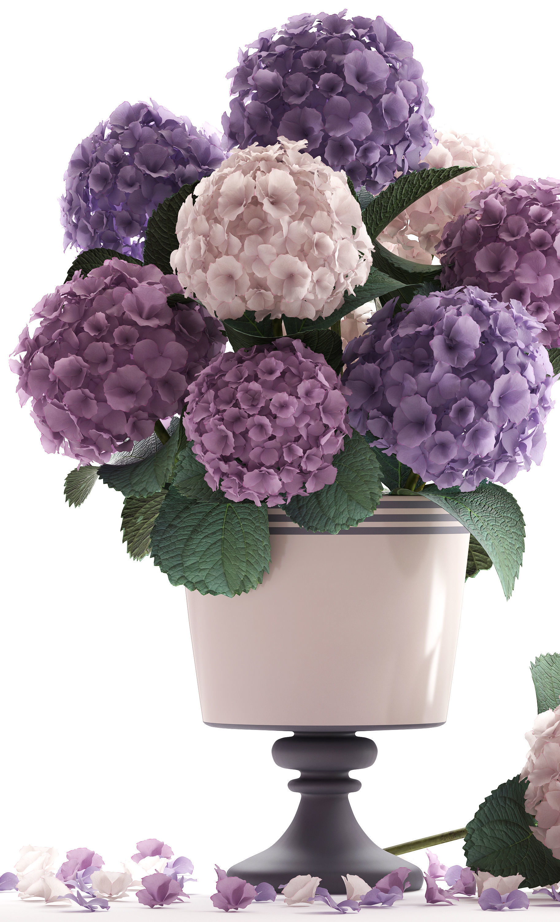 Bouquet of Hydrangea  3D model_1