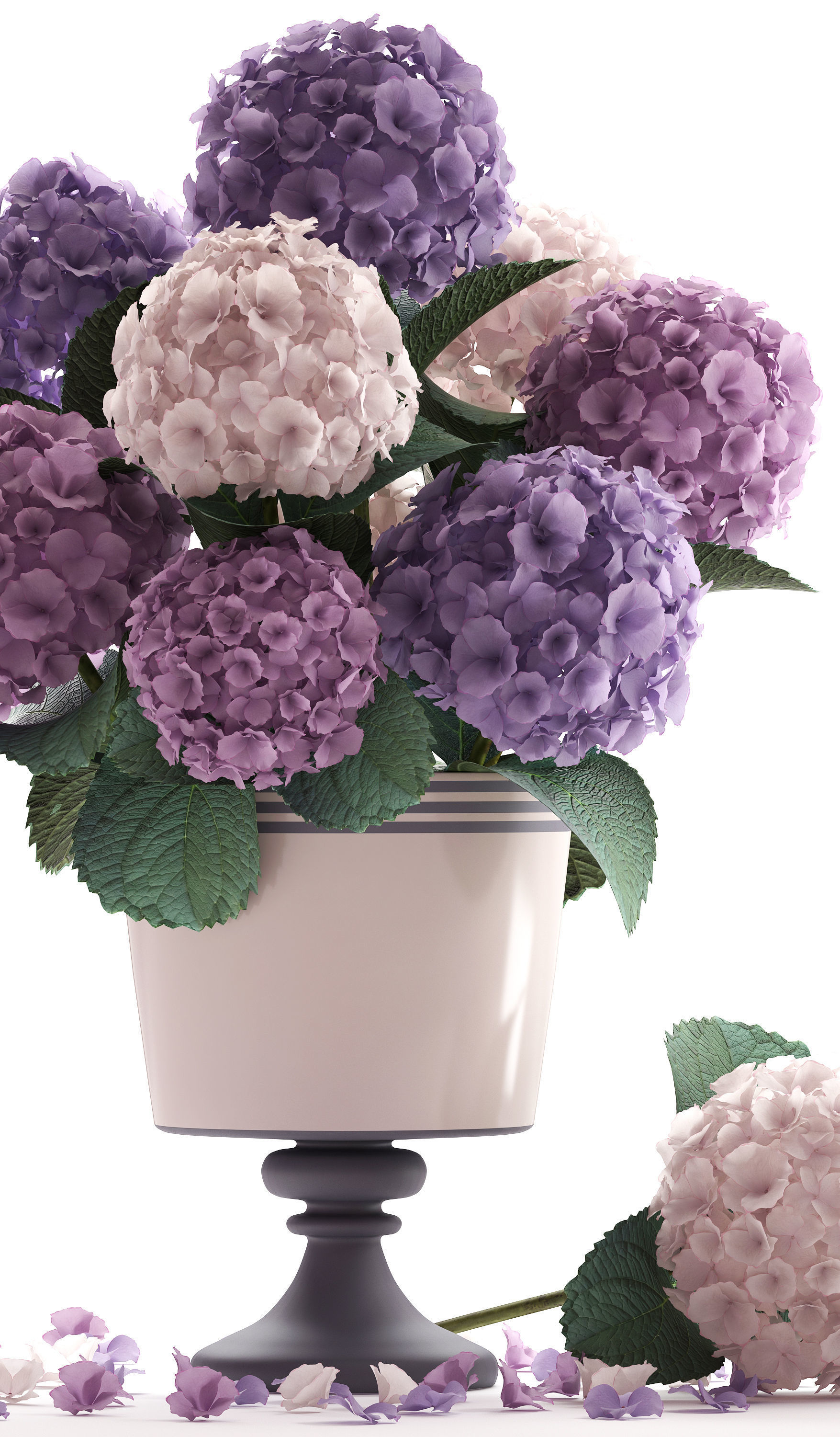 Bouquet of Hydrangea  3D model_5