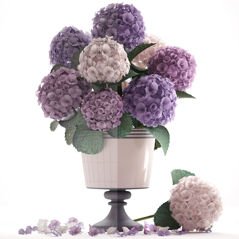 Bouquet of Hydrangea  3D model_6