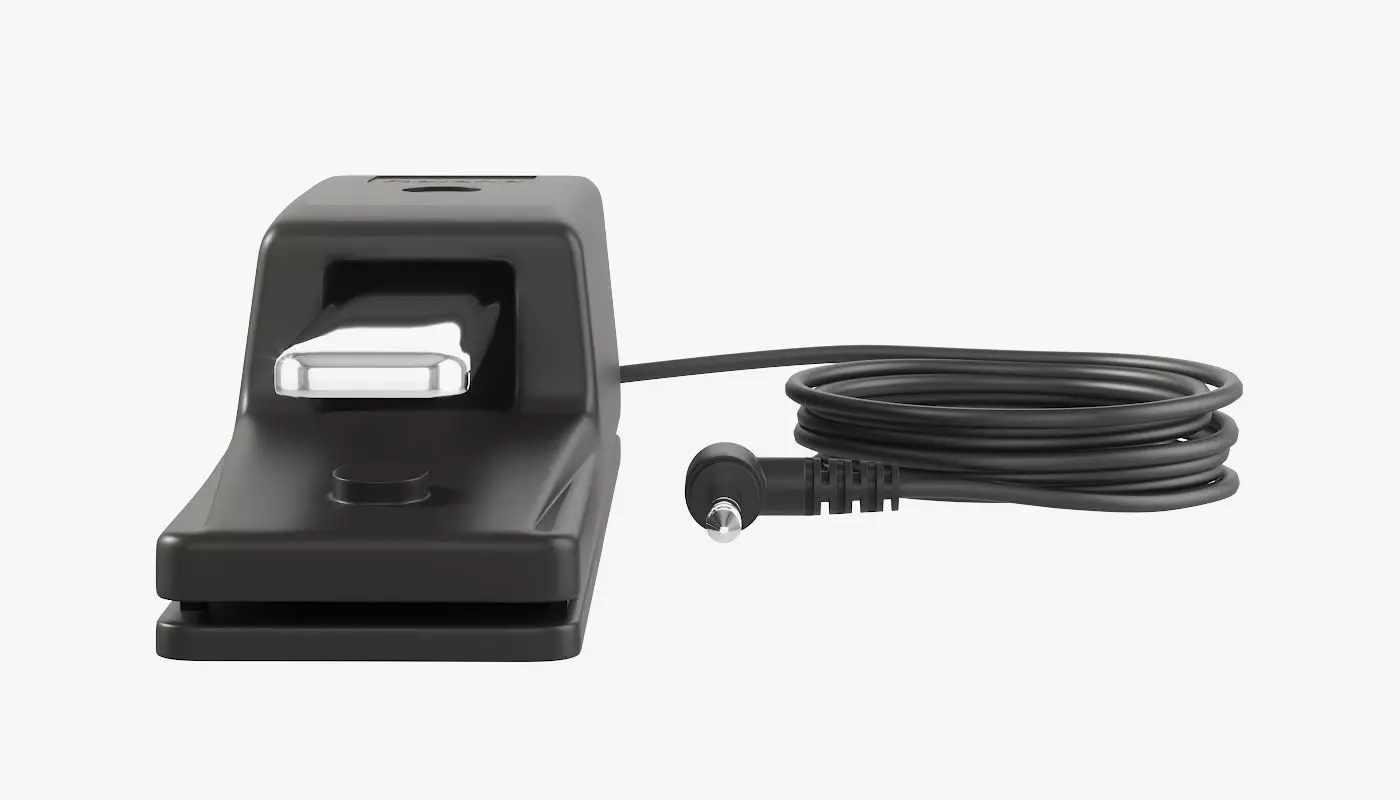 Sustain Pedal Roland DP-10 3D model