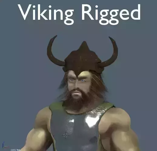 Viking Rigged 3D model