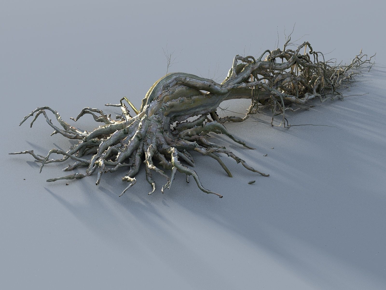 OLD FOREST PACK 10 3D model_21