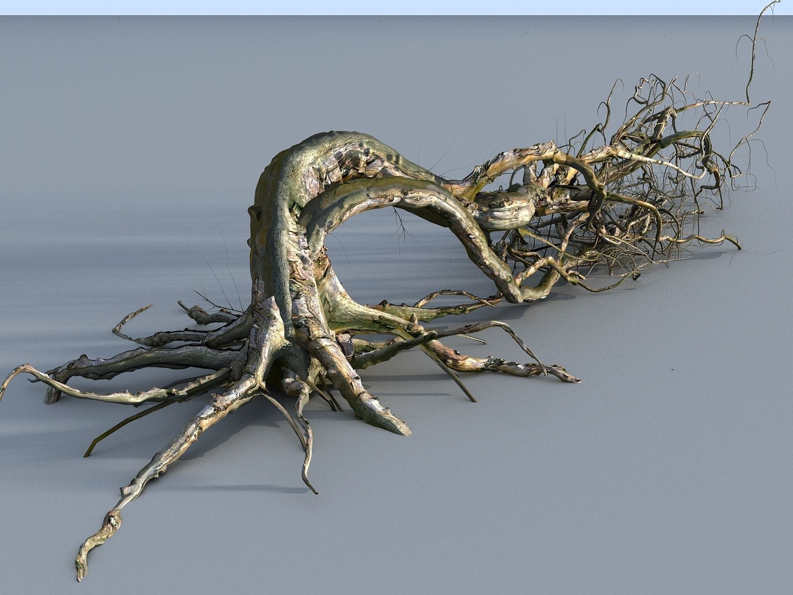 OLD FOREST PACK 10 3D model_26